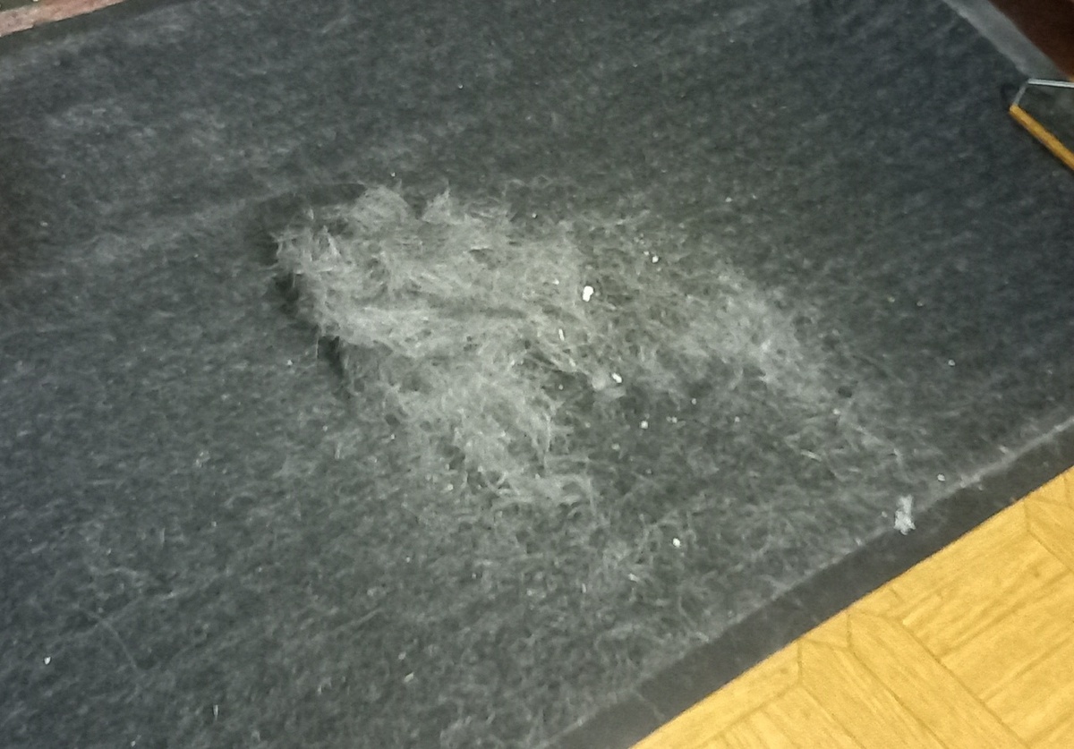 собачья шерсть