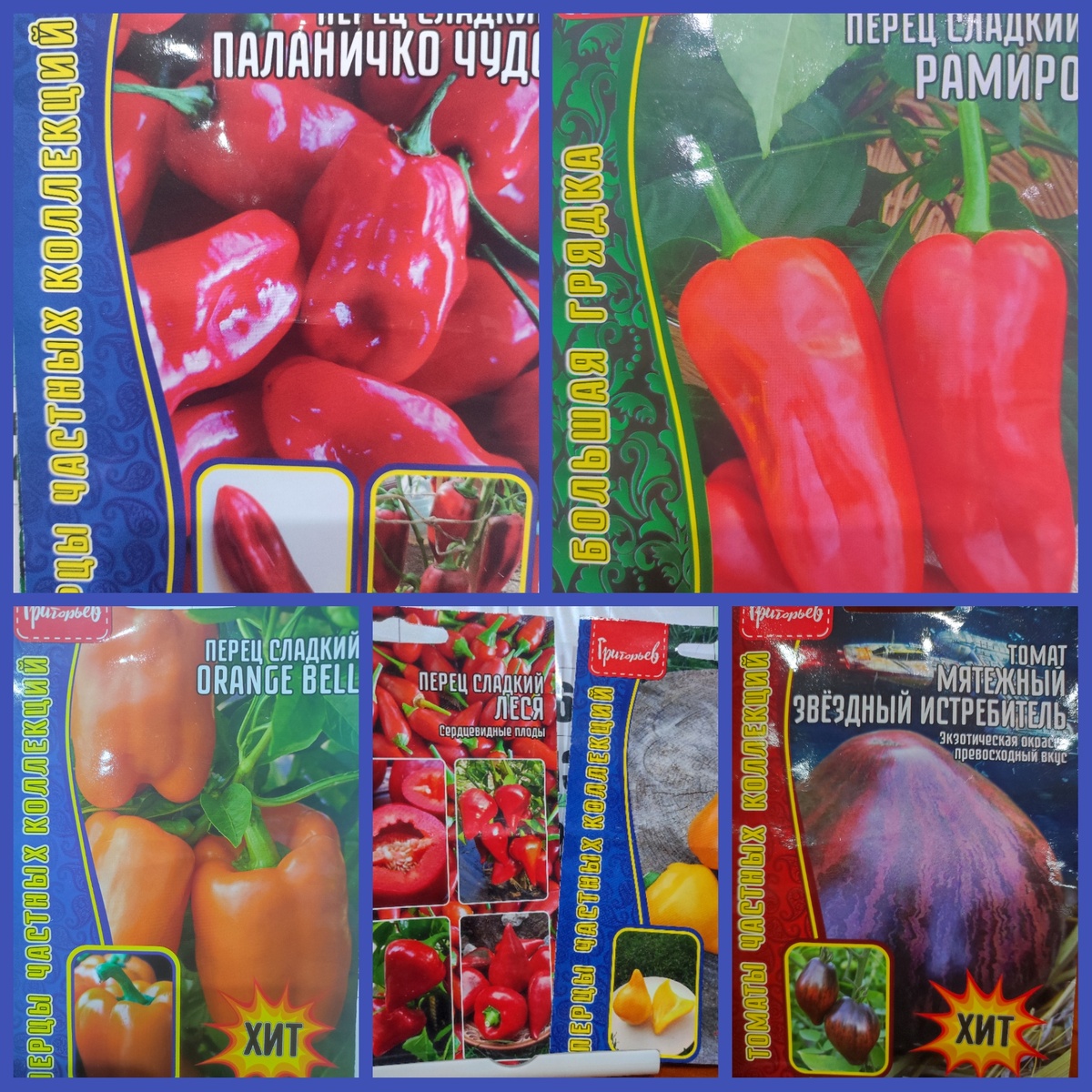 Коллаж из фото автора, август 2025 года