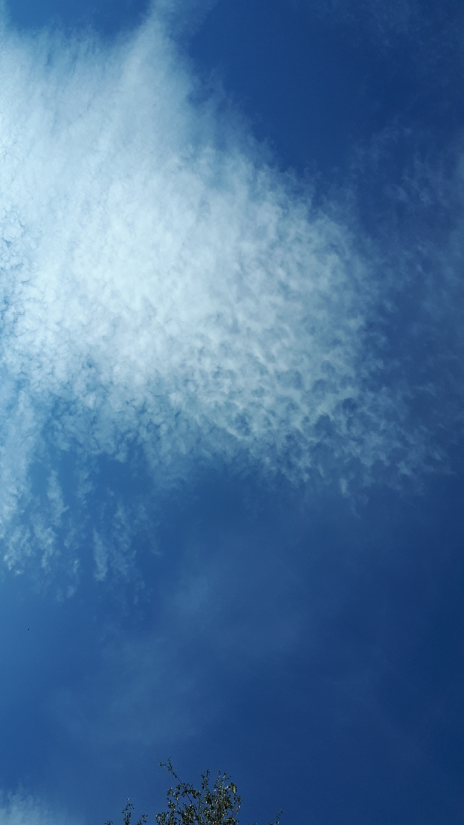 Оттуда на нас кто-то смотрит родными глазами ...