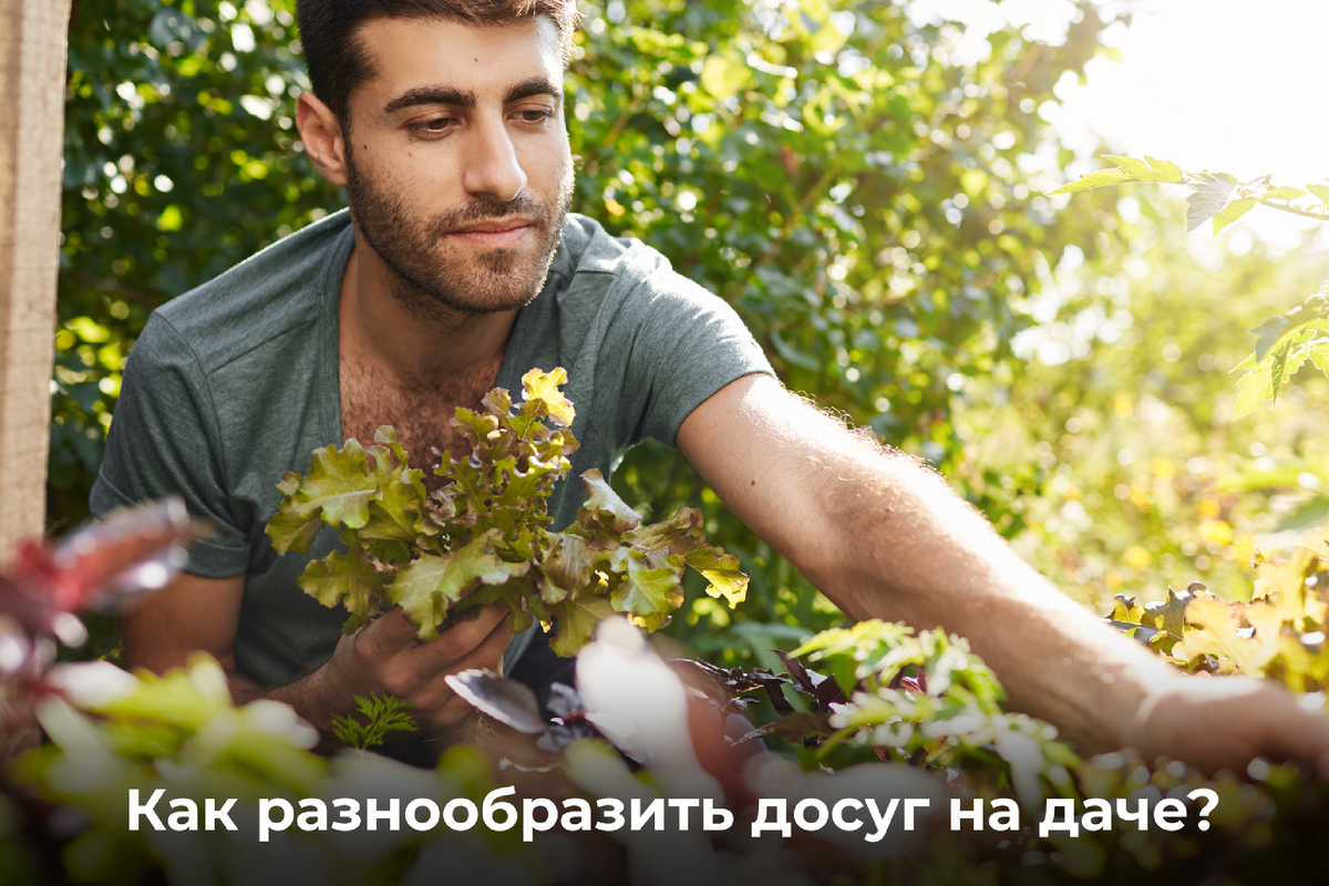 Как разнообразить досуг на даче? 