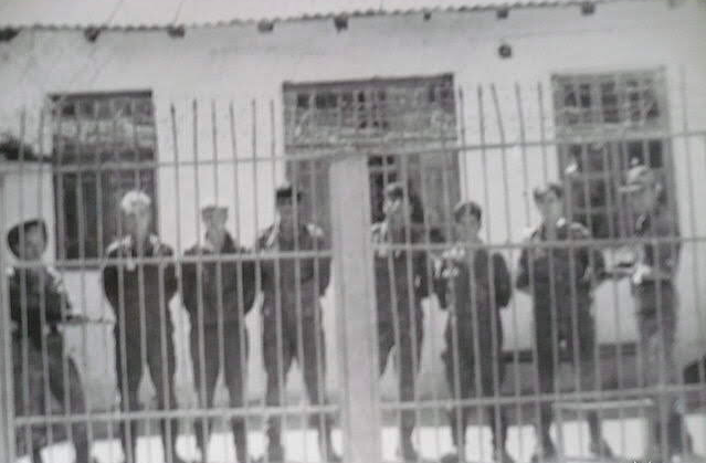 фото от читателя Александра