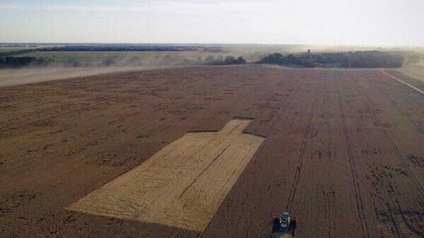    © telegram ukr_2025_ru