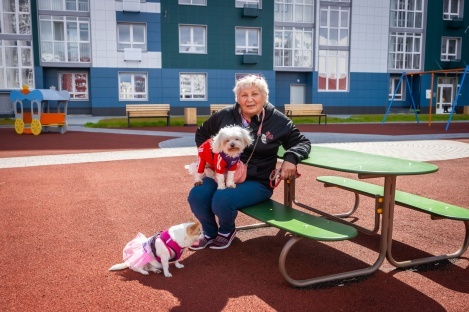    С новосельем: Югра решает «квадратную» арифметику