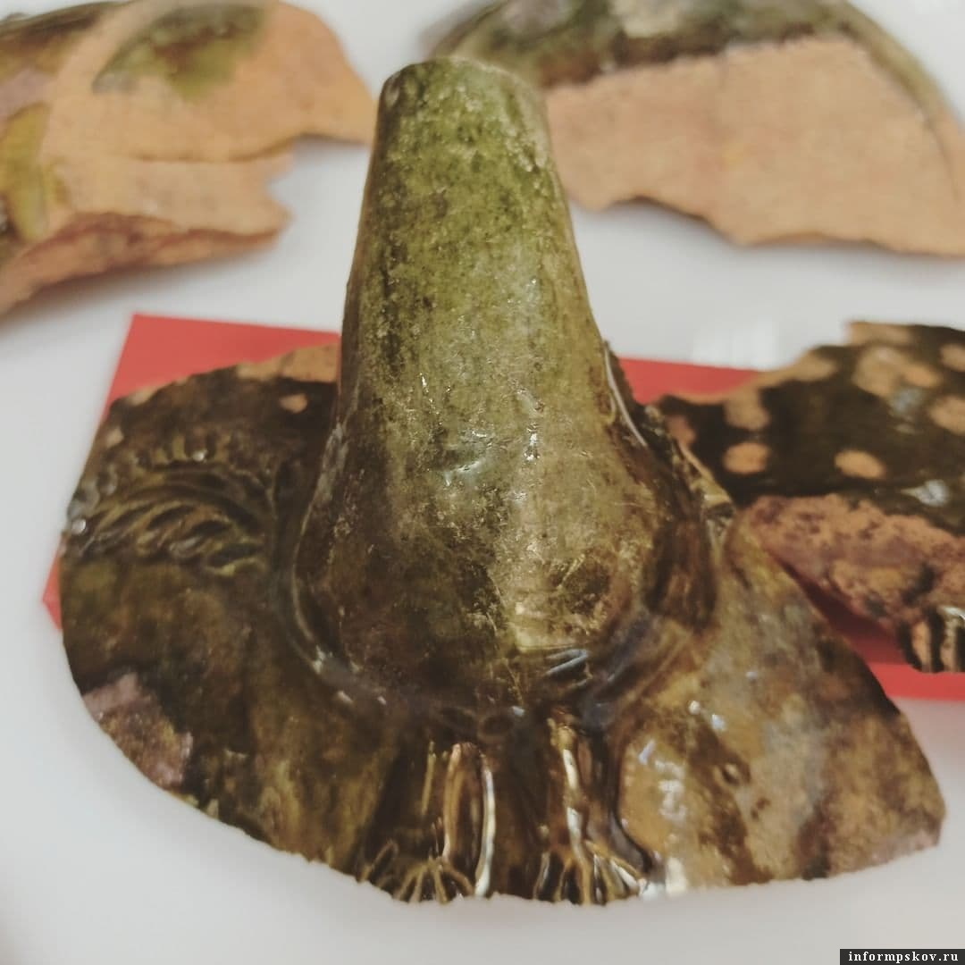 Носик сосуда из раскопа на улице Леона Поземского в 2021 году. Фото: Археологический центр Псковской области