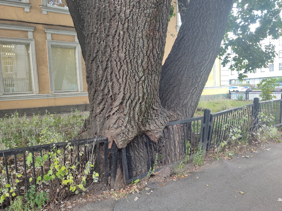 Фото Кругозор проектировщика, на углу 9-й Красноармейской и Измайловского проспекта