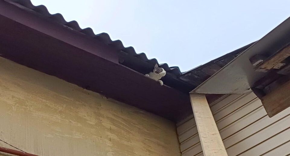    ГКУ МО "Мособлпожспас"