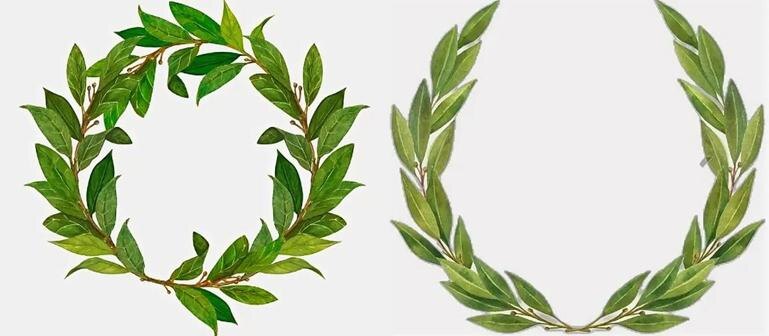 ВН - объединение и разъединение. Влияние образа Н (наличие/отсутствие) на образ В (связь) на примере двух типов ВЕНков. 