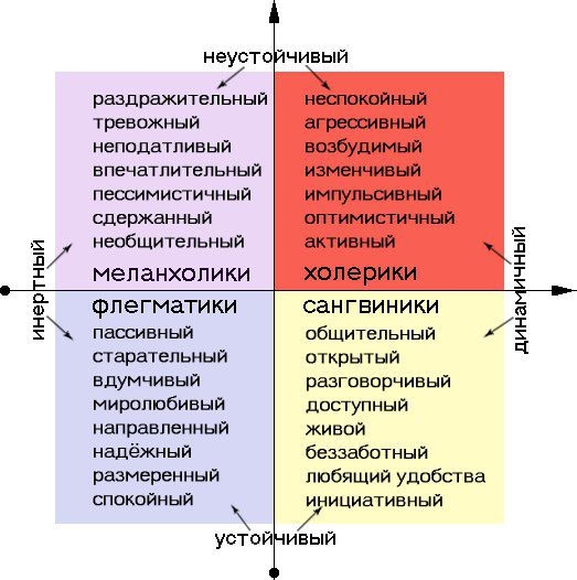      Темперамент человека