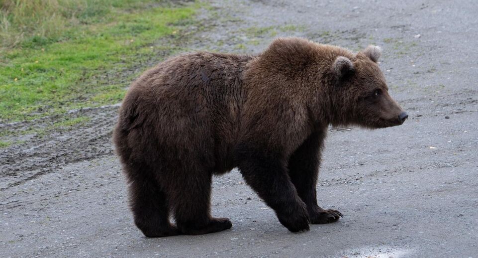    Cover Images/Keystone Press Agency / www.globallookpress.com