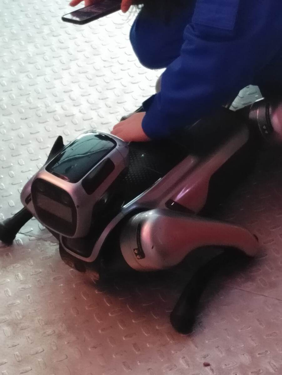 Перезаряжают "животное". 