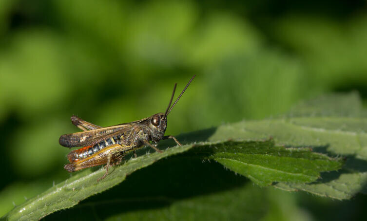    Фото: по лицензии CC0 Pxhere.com