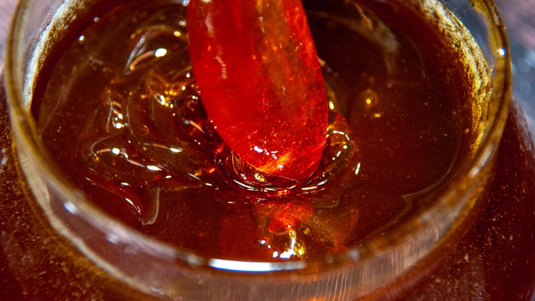    Фото: Globallookpress