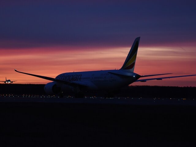    Фото: Москва 24/Никита Симонов