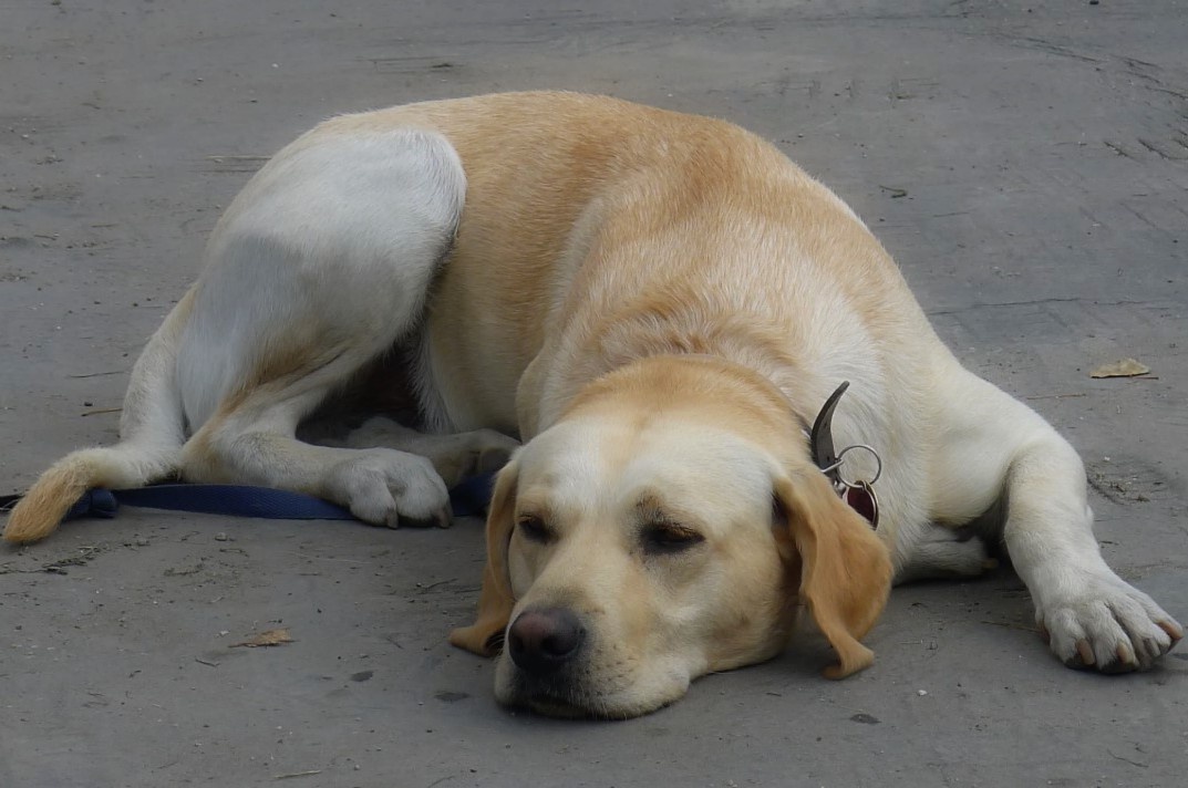 Именно на основе этих наблюдений я хочу поделиться с вами своими мыслями, историями и практическими советами — чтобы помочь понять, когда приходит момент, о котором тяжело думать, но нельзя его игнорировать.
