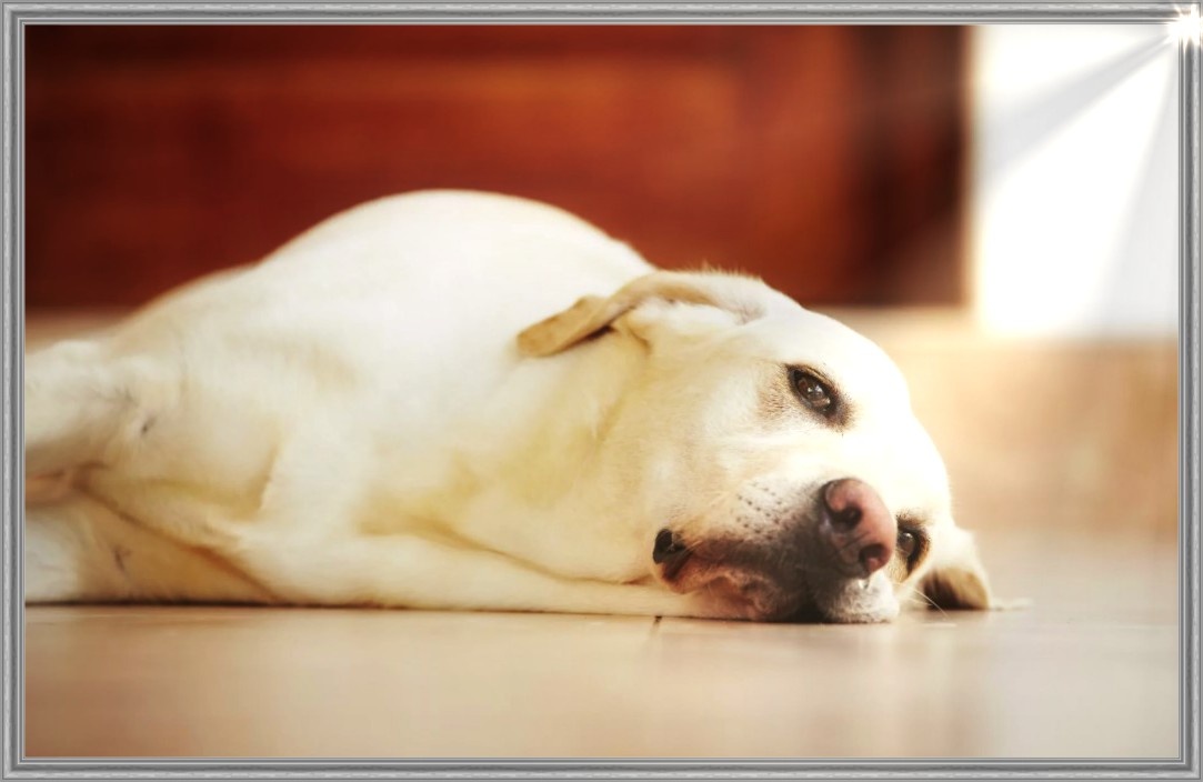 Оценка качества жизни — ключевой момент.
