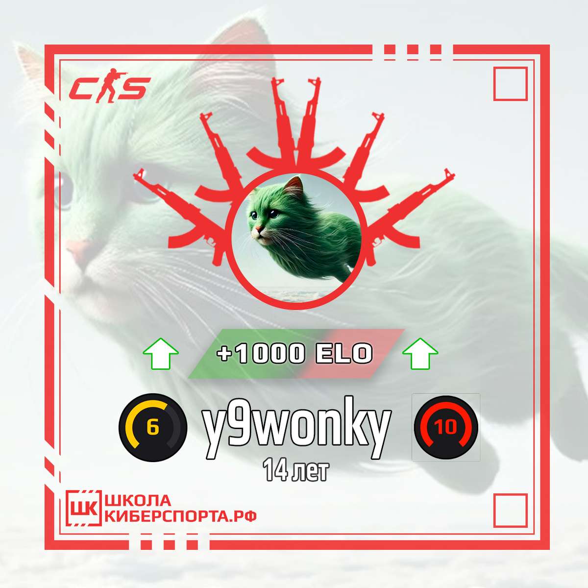 y9wonky (14 лет):
• Старт: 6 уровень Faceit
• Финиш: 10 уровень Faceit
• Прирост: +1000 ELO