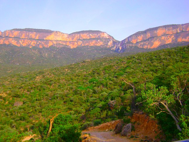 Горы в Сомали. Фото с сайта https://www.flickr.com/photos/yusuf-dahirsomaliland/2931515674. Взято с Яндекс.Картинки