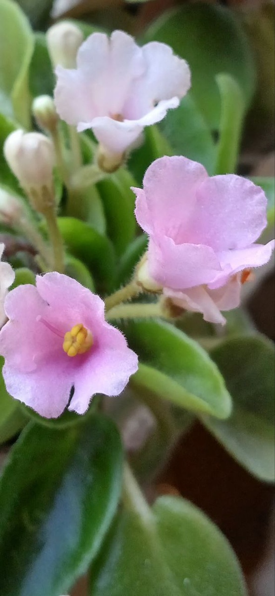 IЛистайте дальше 👉👉👉