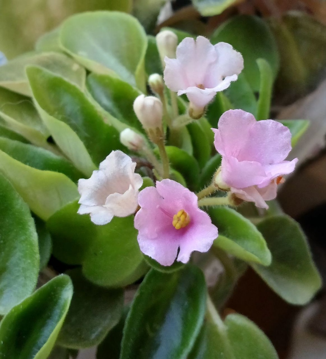 Листайте дальше 👉👉👉