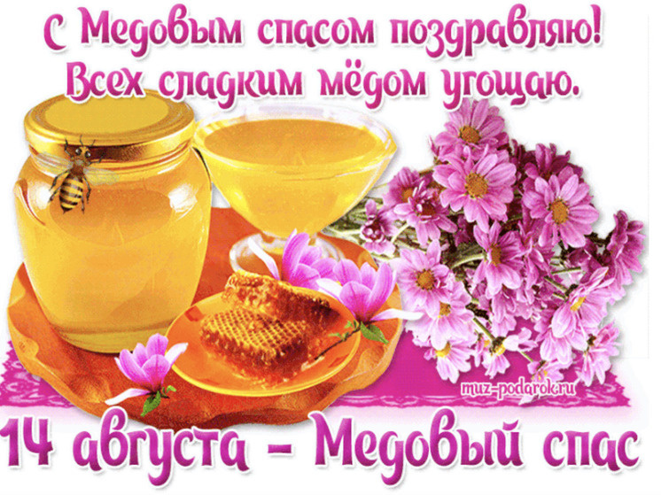     Фото: Мега Умора