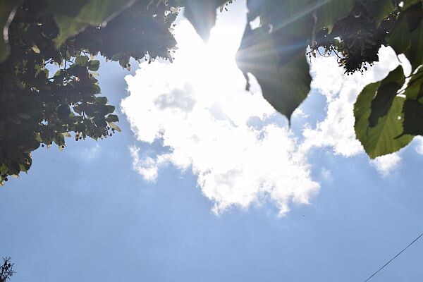    Фото Елены Врублевской Валерия Стальная