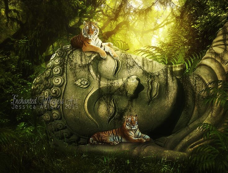 Из свободных источников