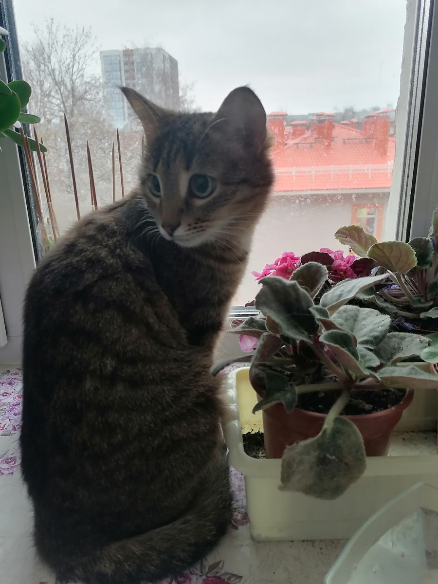 Фото автора