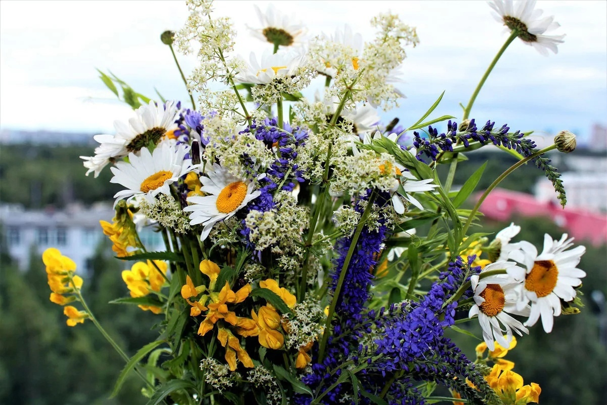 ������ �������� ��� � �����!