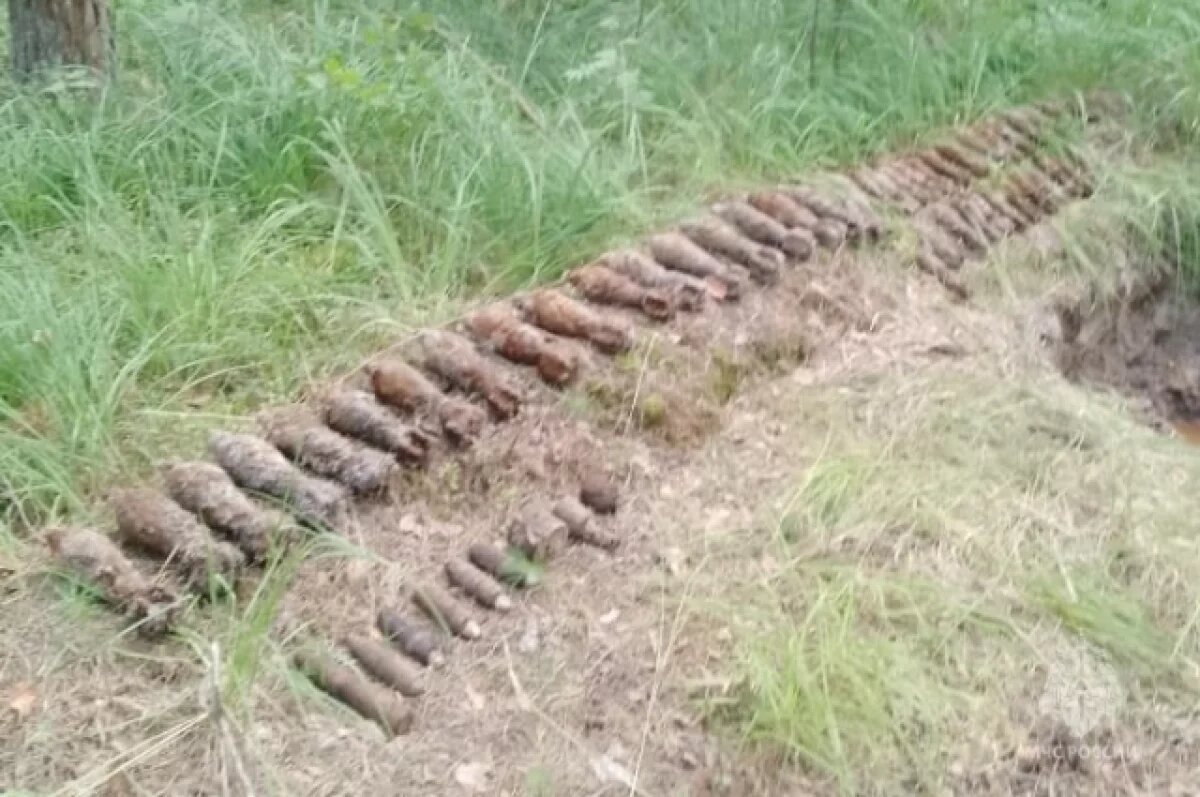    В Калужской области откопали склад боеприпасов Великой Отечественной войны