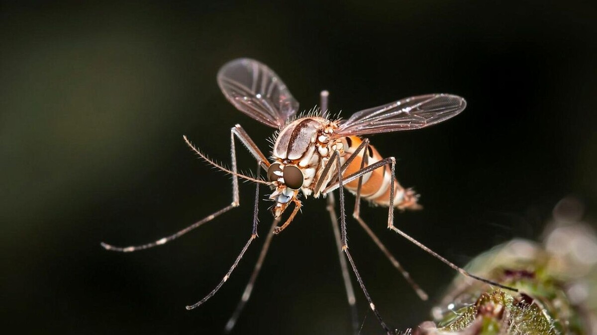    Изображение создано с помощью ИИ