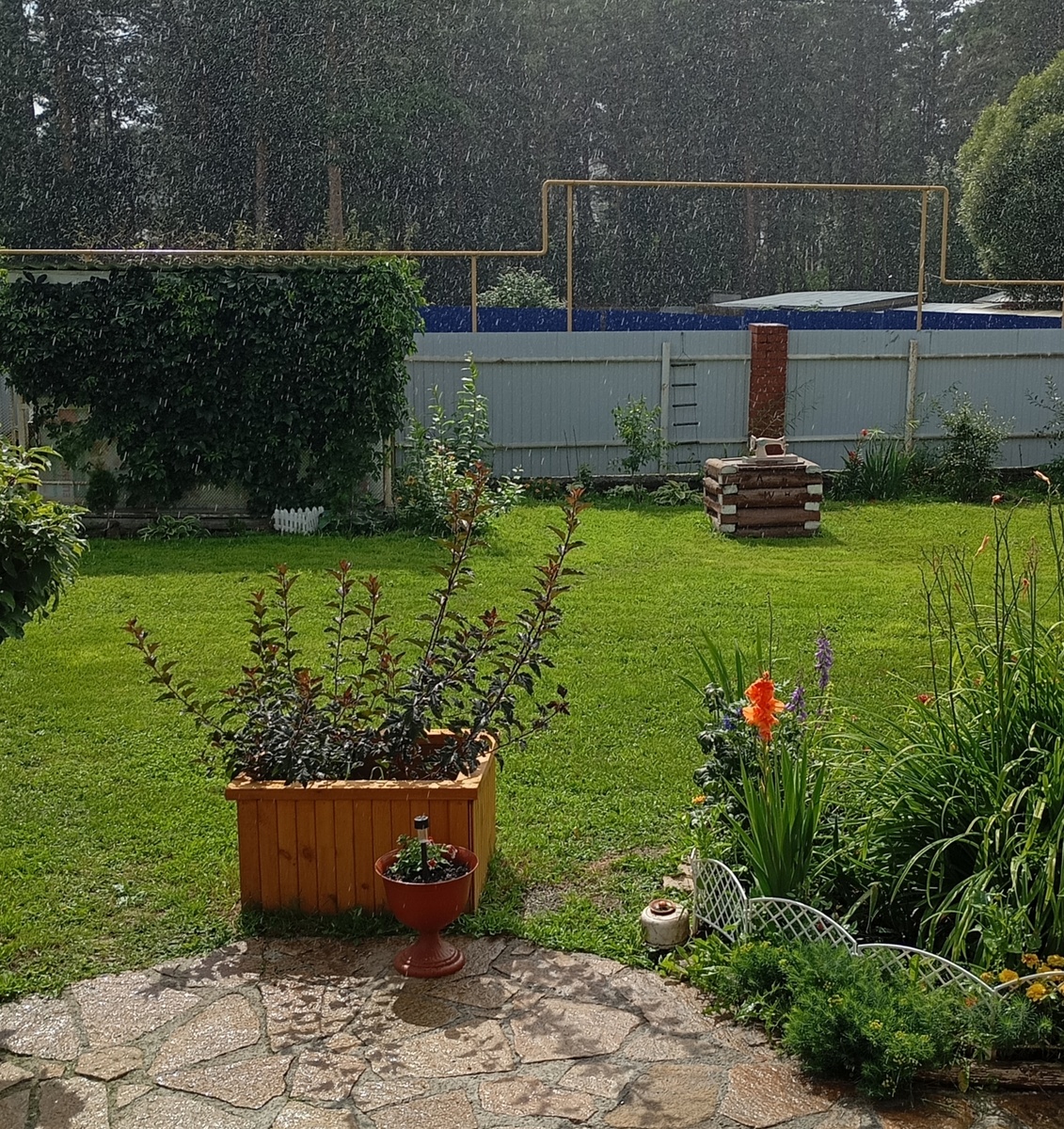 Солнце светит и льёт дождь косой