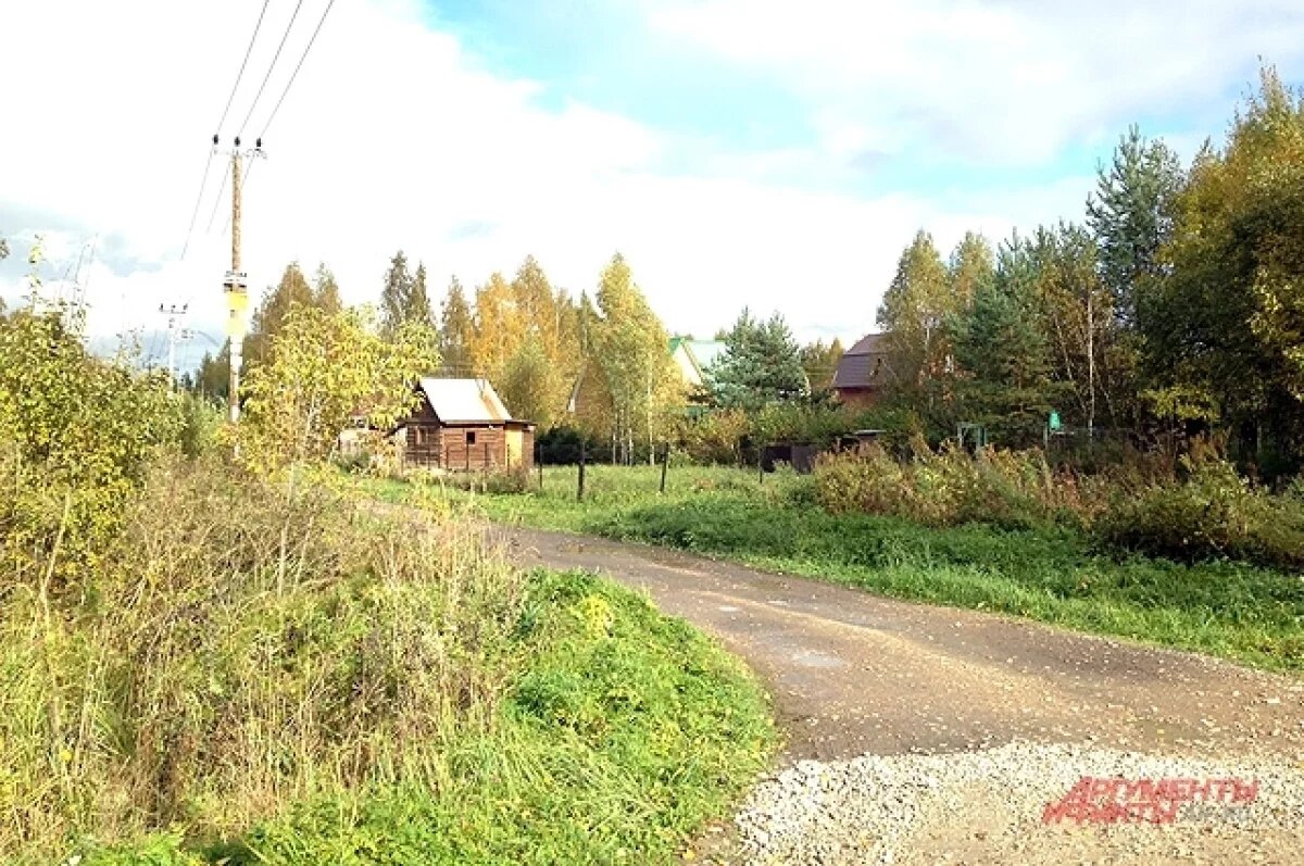    Дача, прощай.