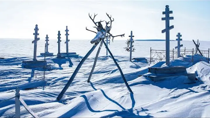 фото взято из интернета