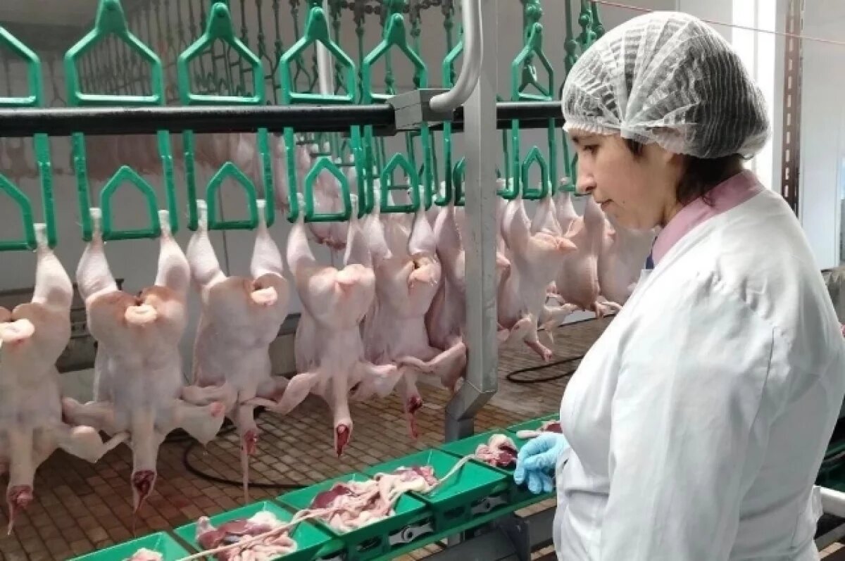    Профилактику АЧС и птичьего гриппа усиливают в Иркутской области