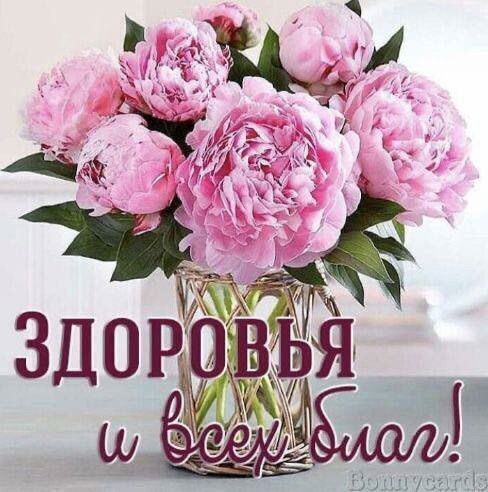 Картинка из интернета. 