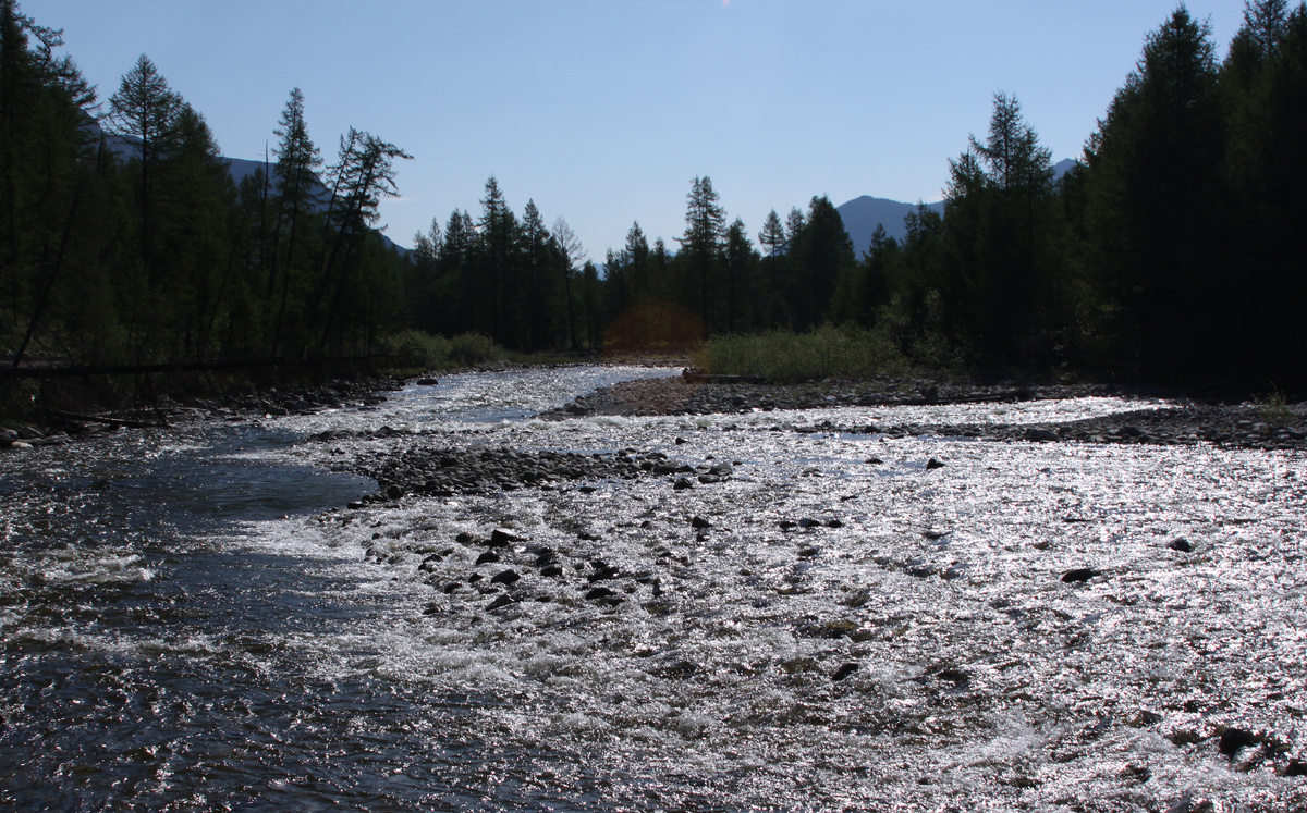 фото Миронов А.А.