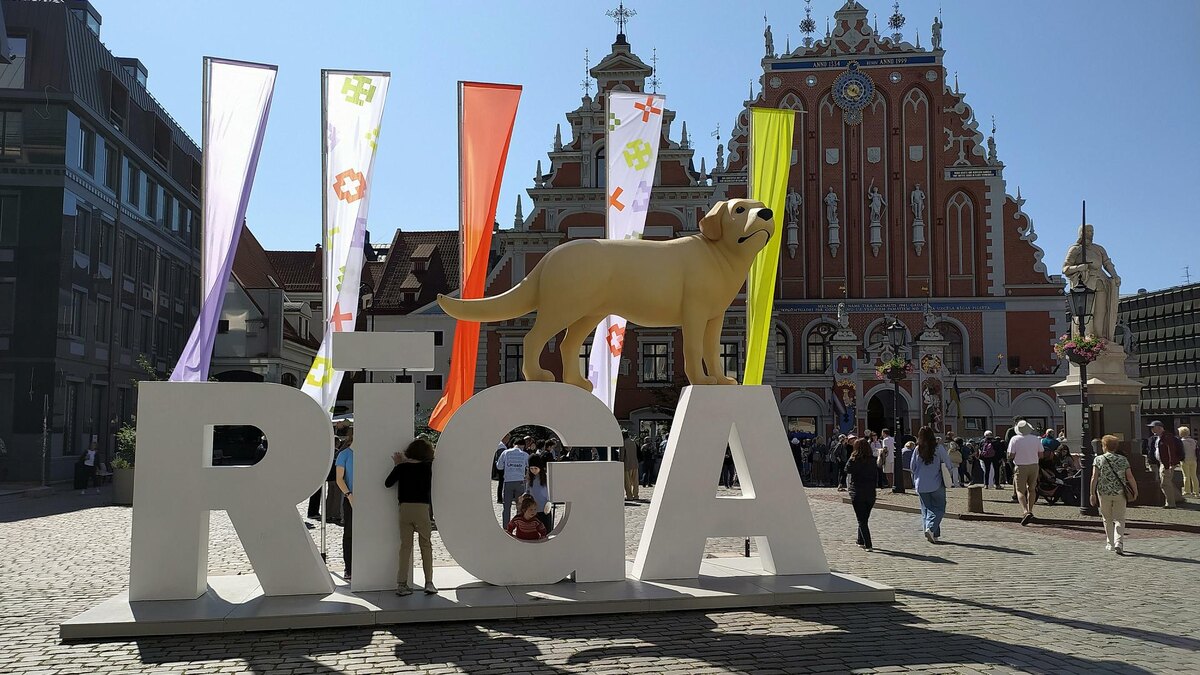    Фото: globallookpress.com/Victor Lisitsyn