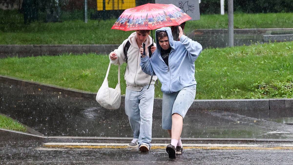    Фото: Ярослав Чингаев / АГН Москва