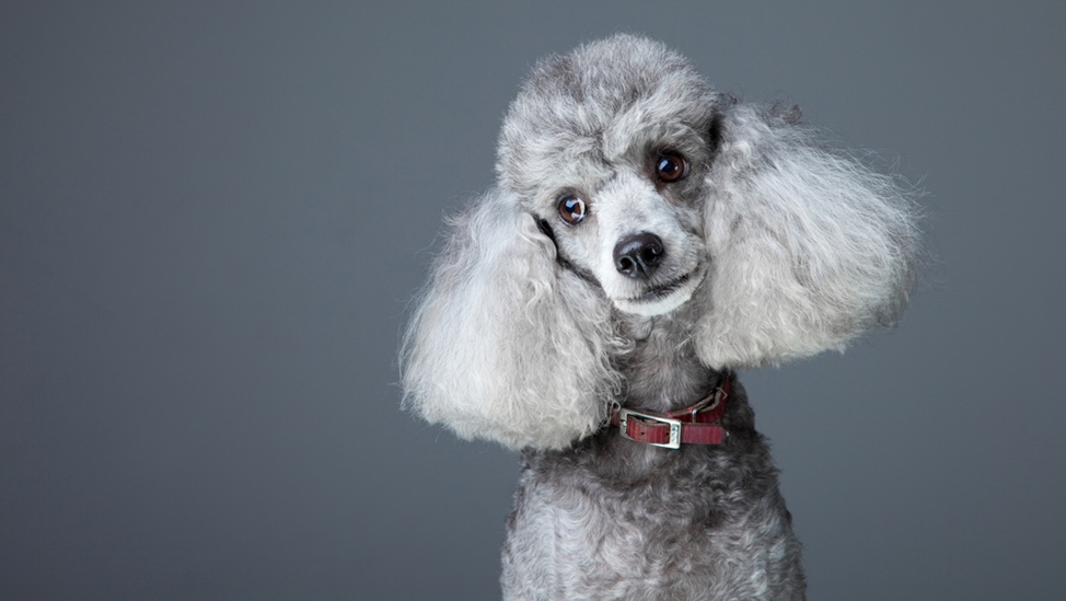 Фото: marimedia.ru