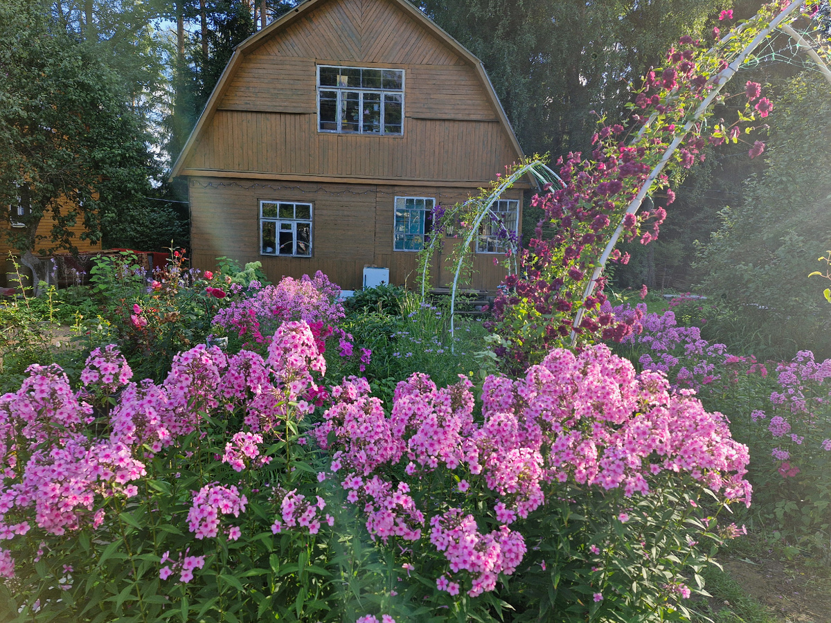 Солнечный луч как хорошо получился на фото