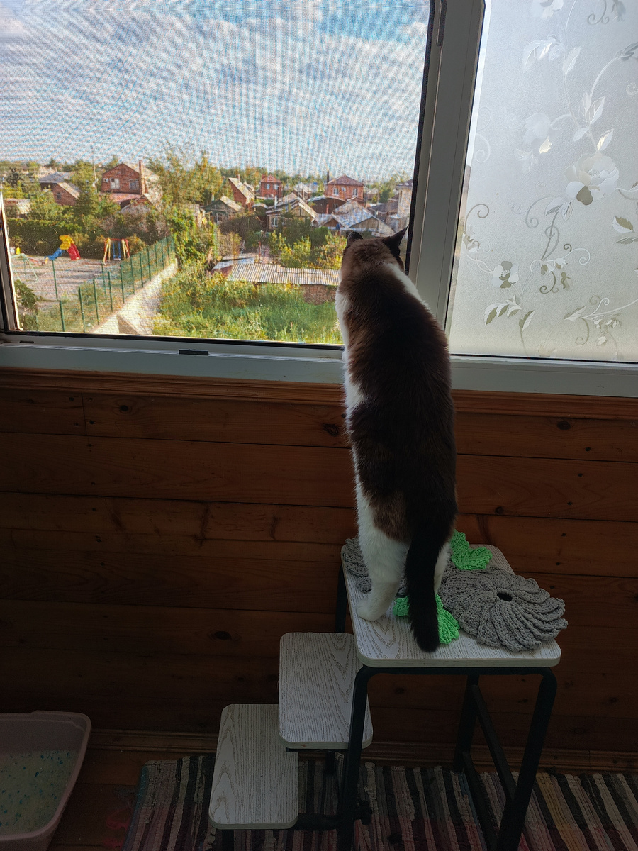 Фото автора.