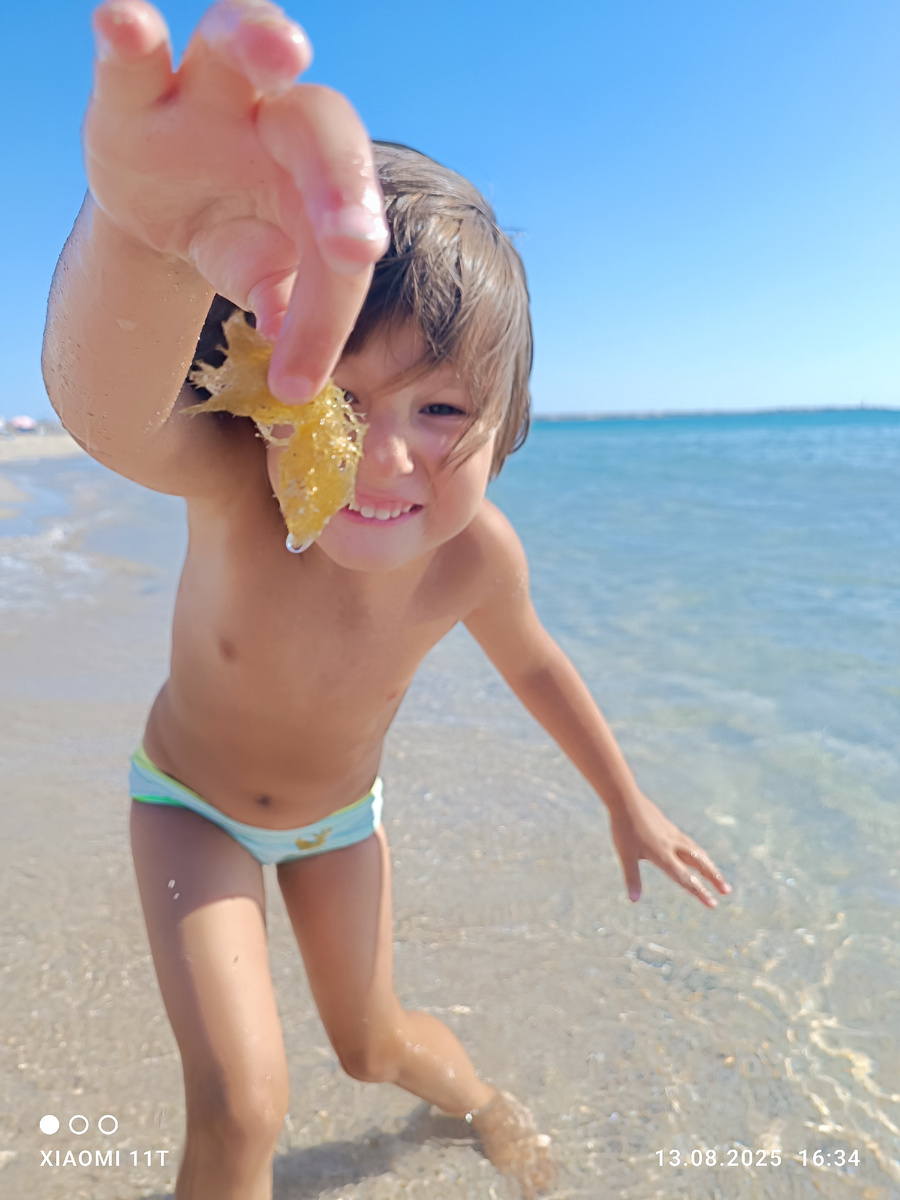 Солнце, море и водоросль