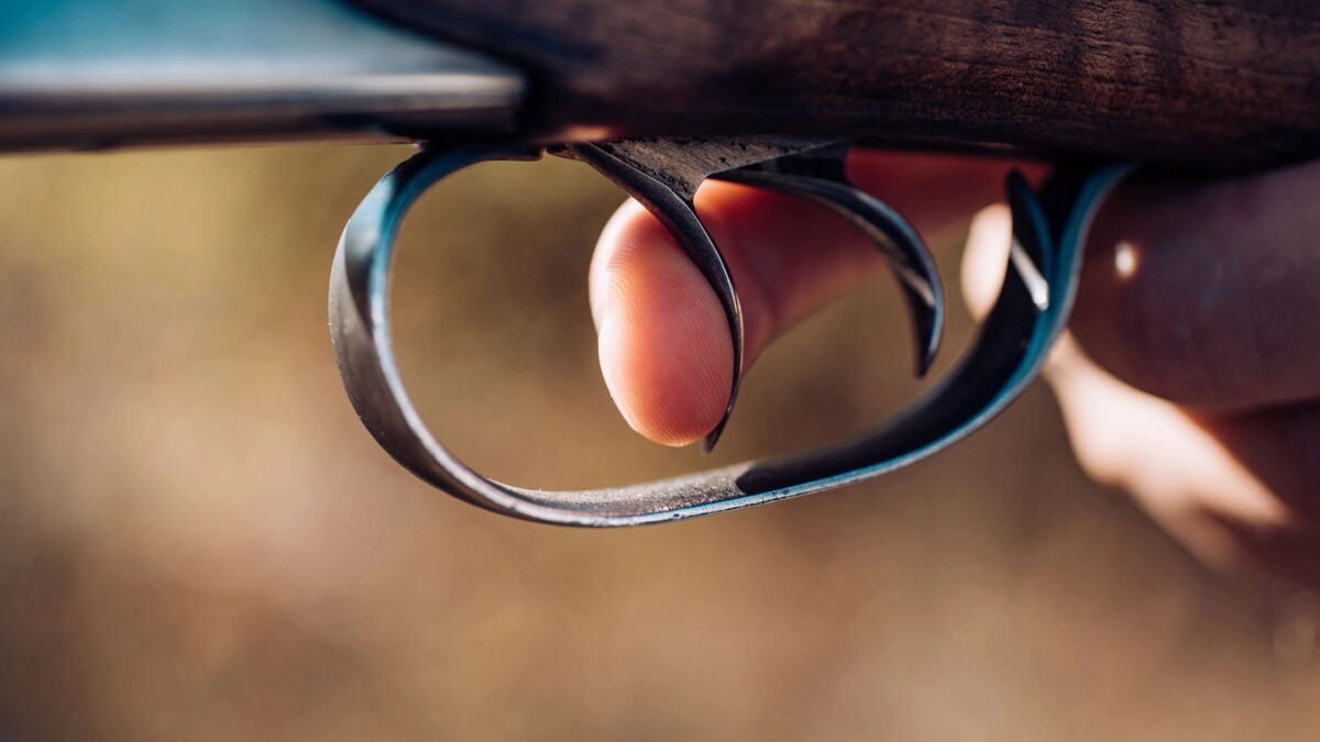    Фото: Volodymyr TVERDOKHLIB / Shutterstock / Fotodom