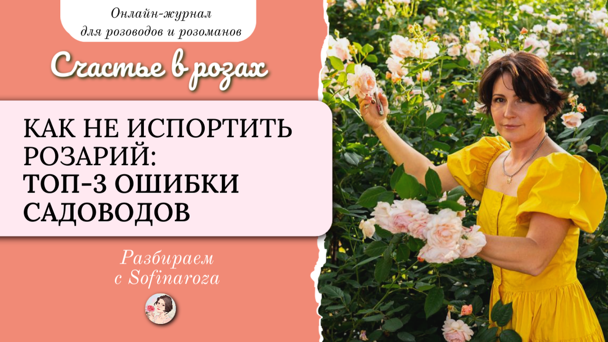 «Счастье в розах», выпуск №36, 14 августа 2025г.