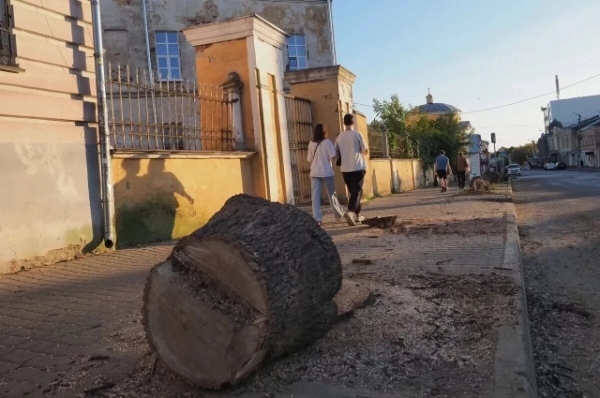    В Калуге с начала лета высадили лишь 135 деревьев