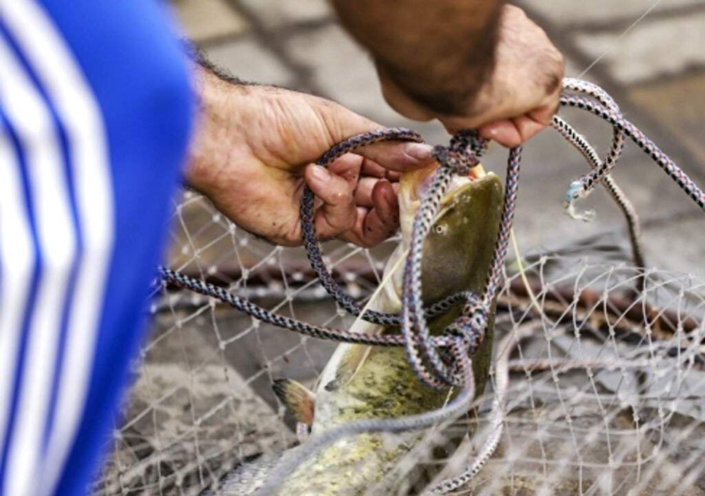    Фото Виктории Корнеевой, АО «Дон24» admin