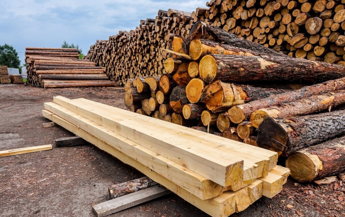    © Пресс-служба Пермского краевого суда