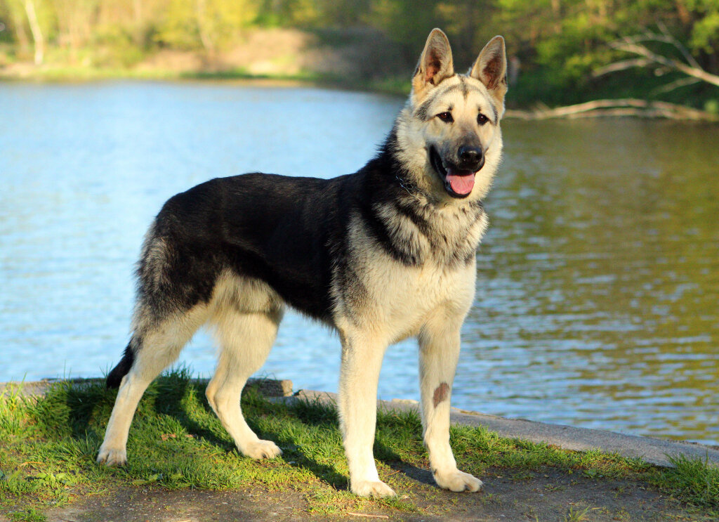 Комбат всегда на страже порядка.