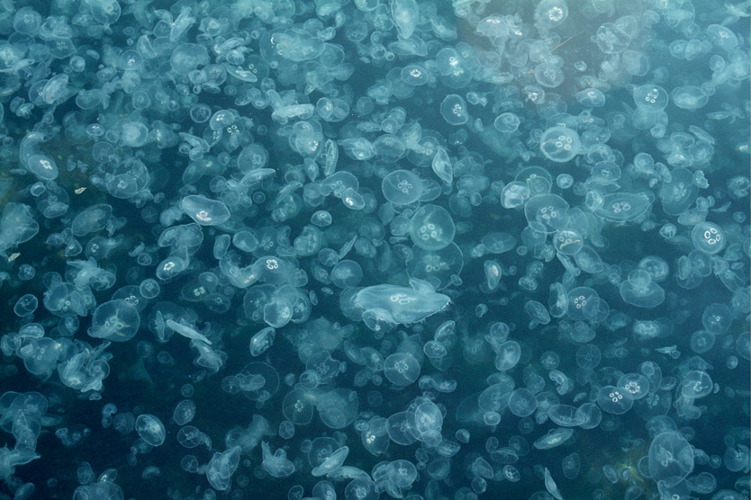 Фото: Rolf W. Hapke / Global Look Press