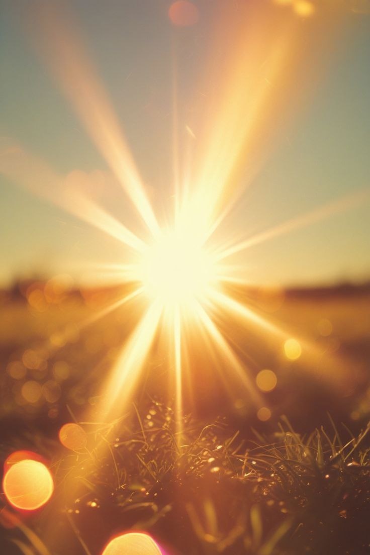 Картинка взята с сайта https://ru.pinterest.com